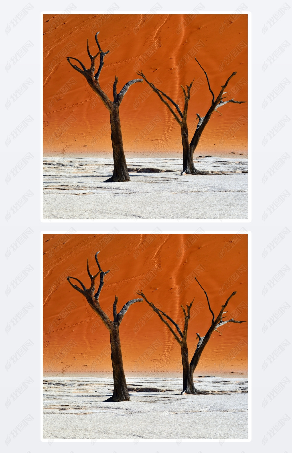 Deadvlei˹ױ