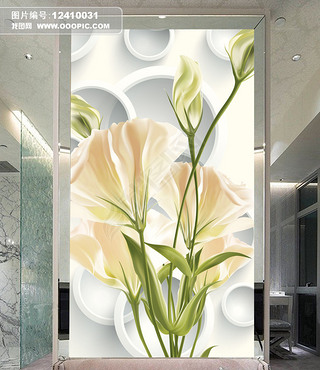3D圆圈花卉花朵玄关背景画模板设计