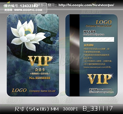 ˮīɻӡӰ黭ѵVIP