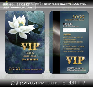 ˮīɻӡӰ黭ѵVIP