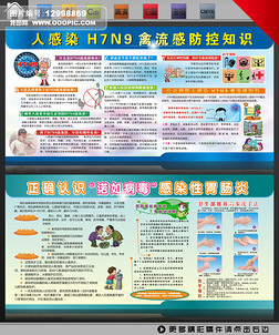 H7N9ŵ粡