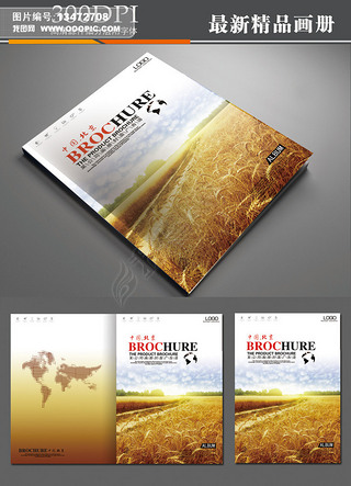 农业农产品农作物画册封面PSD板式设计