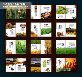 农业小麦画册