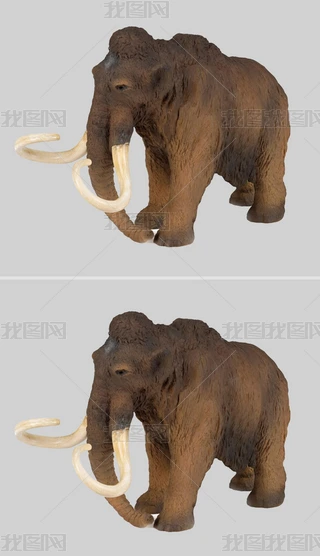 o(j)ģ