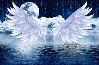 天使翅膀水月图