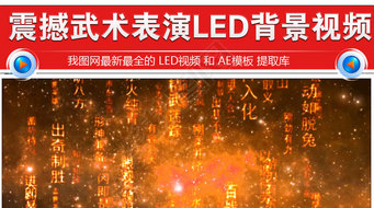 书LEDƵ