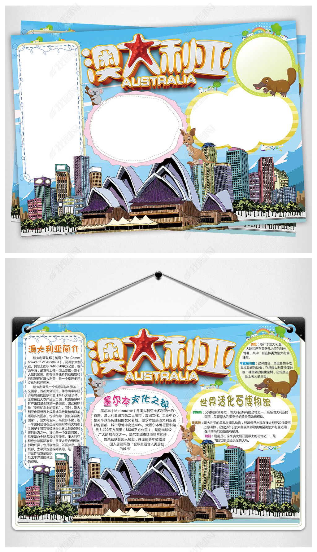 原创澳大利亚小报大洋洲地理手抄报电子小报设计-版权可商用