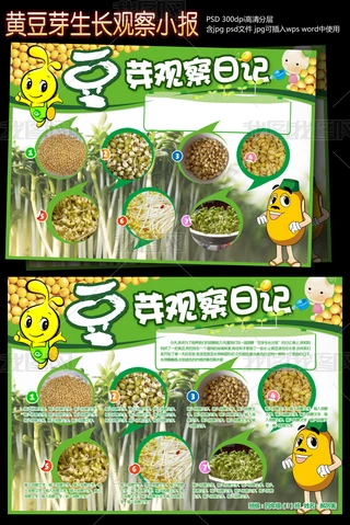 厨房里的“小绿芽”|一场关于耐心和食欲的实验 厨房里的“小绿芽”|一场关于耐心和食欲的实验