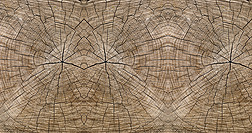高清原木纹贴图个性木板复古怀旧背景墙