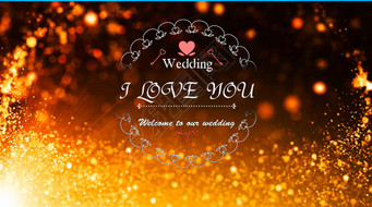 ɫӹЧlogoҰwedding