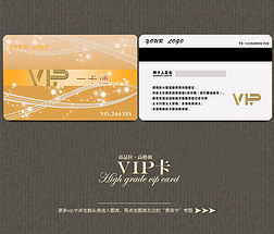 ݻVIP