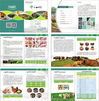 小山村农业农产品绿色食品牛肉猪肉画册