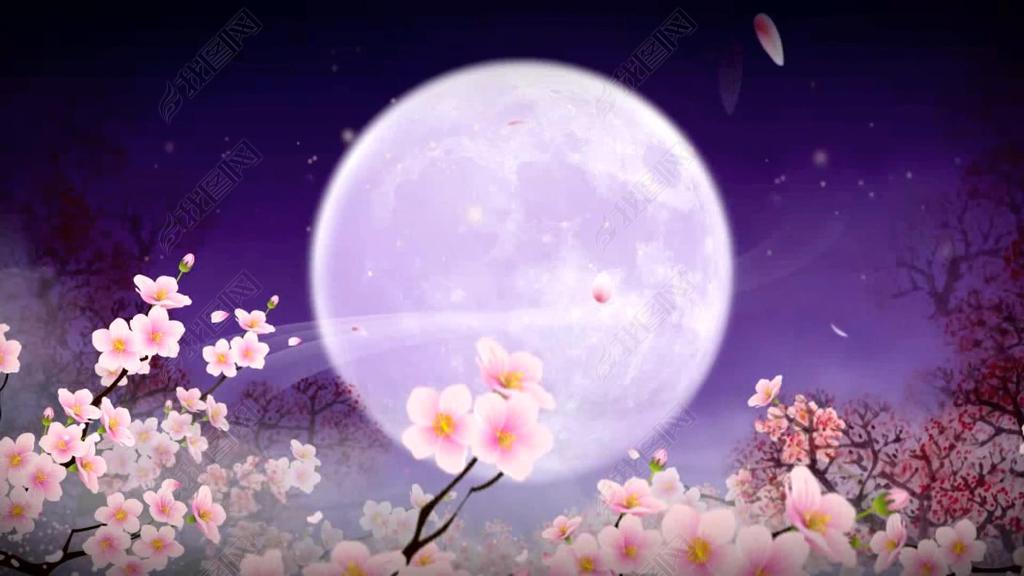 梅花月亮中秋节元宵节只是视频