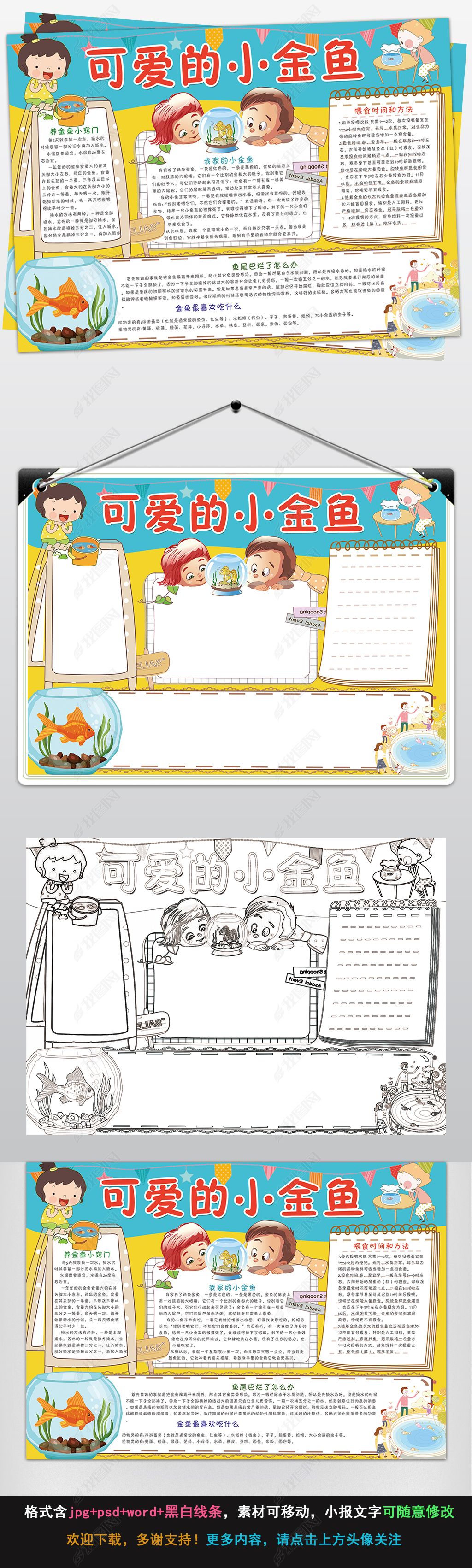 饲养小金鱼宠物动物手抄小报
