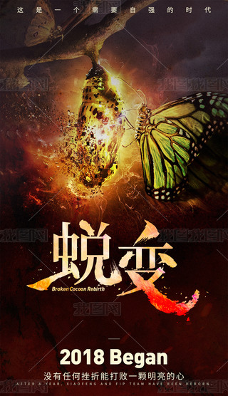 女人蜕变化蝶重生海报