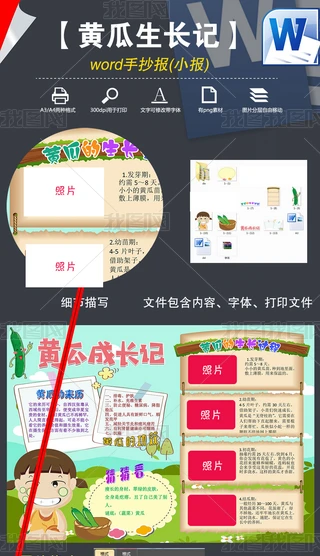 黄瓜苗又长高了，我有点慌！