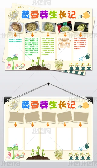 今天我观察了植物生长过程