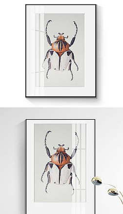 瓢虫创意专题模板-瓢虫创意图片素材下载-我图网