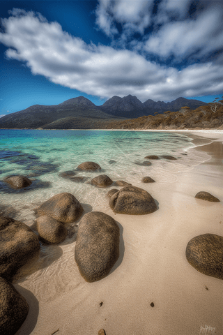 λ˹Freycinetҹ԰Wineglass庣̲