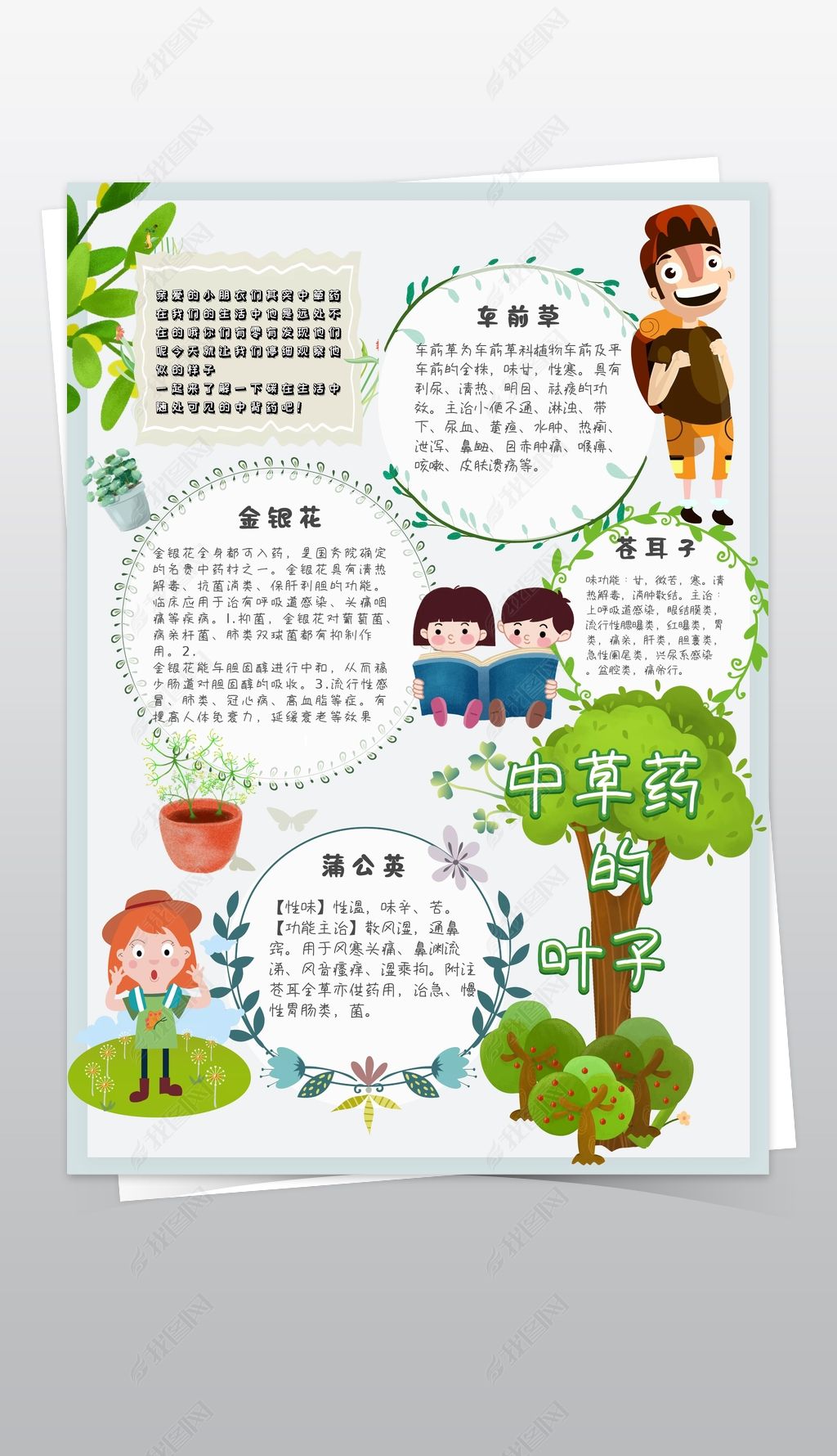 原创绿色卡通中草药的叶子小报手抄报模板-版权可商用