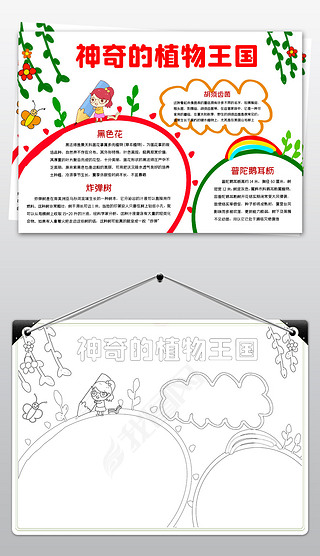 word简单好看植物小报神奇的植物世界手抄报电子小报