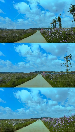 ����·��ɣ����·��;�羰