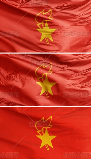 中国共産党党旗 Amazon.co.jp: 中国共产党党徽党旗条例（64开红皮烫金） : 本