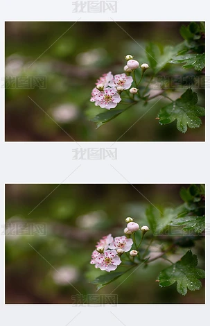 쵽,ϝMǻ.O䡢桢ұ˴ˠՓ- -lƯ.