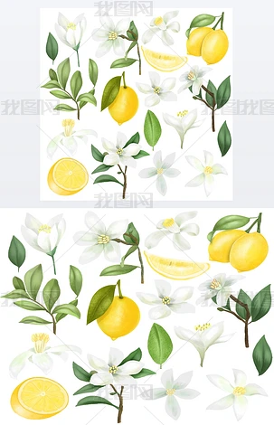 柠檬树的专题模板-柠檬树的图片素材下载-我图网