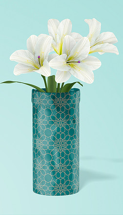 陶瓷花瓶图案设计效果图样机模型