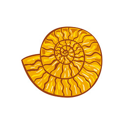 ˻ ammonoid ĸʽ֤, һȺ嶯ﶯͷ Ammonoidea ڹı.