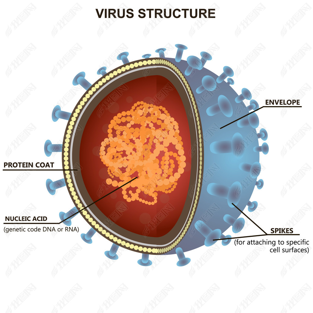 Blue virus cells or bacteria on white background. Isolated vector illustration