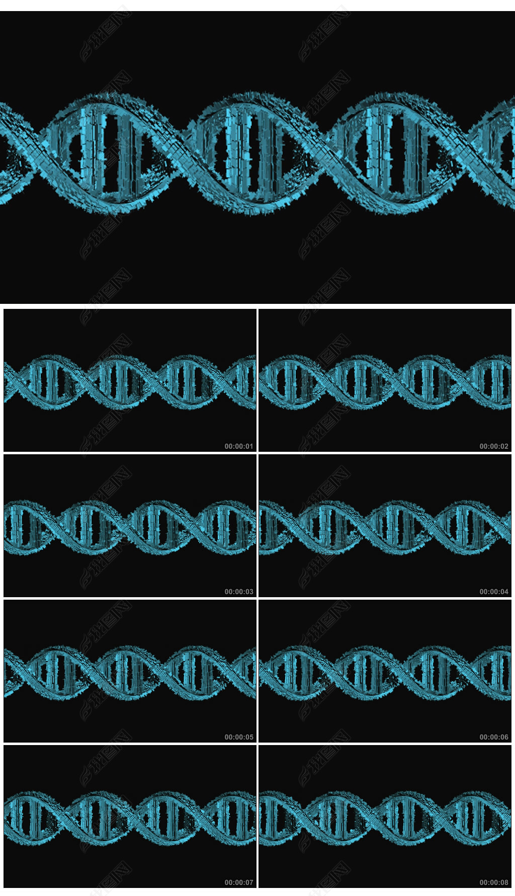 DNA˫ӱ̬Ƶ