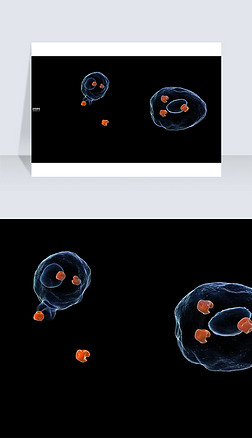 3D医疗视频截图吞噬细胞截图