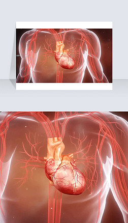 3D医疗视频心脏跳动截图