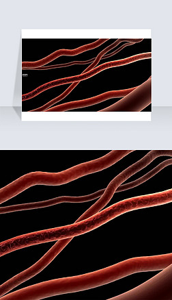 3D医疗视频血管血液流动截图