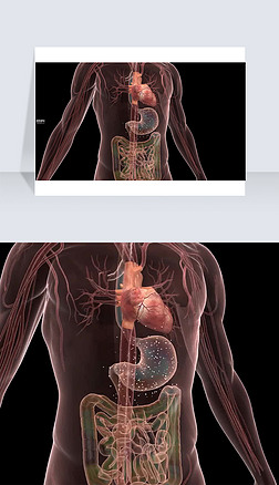 3D医疗视频药物通过胃部释放到全身截图