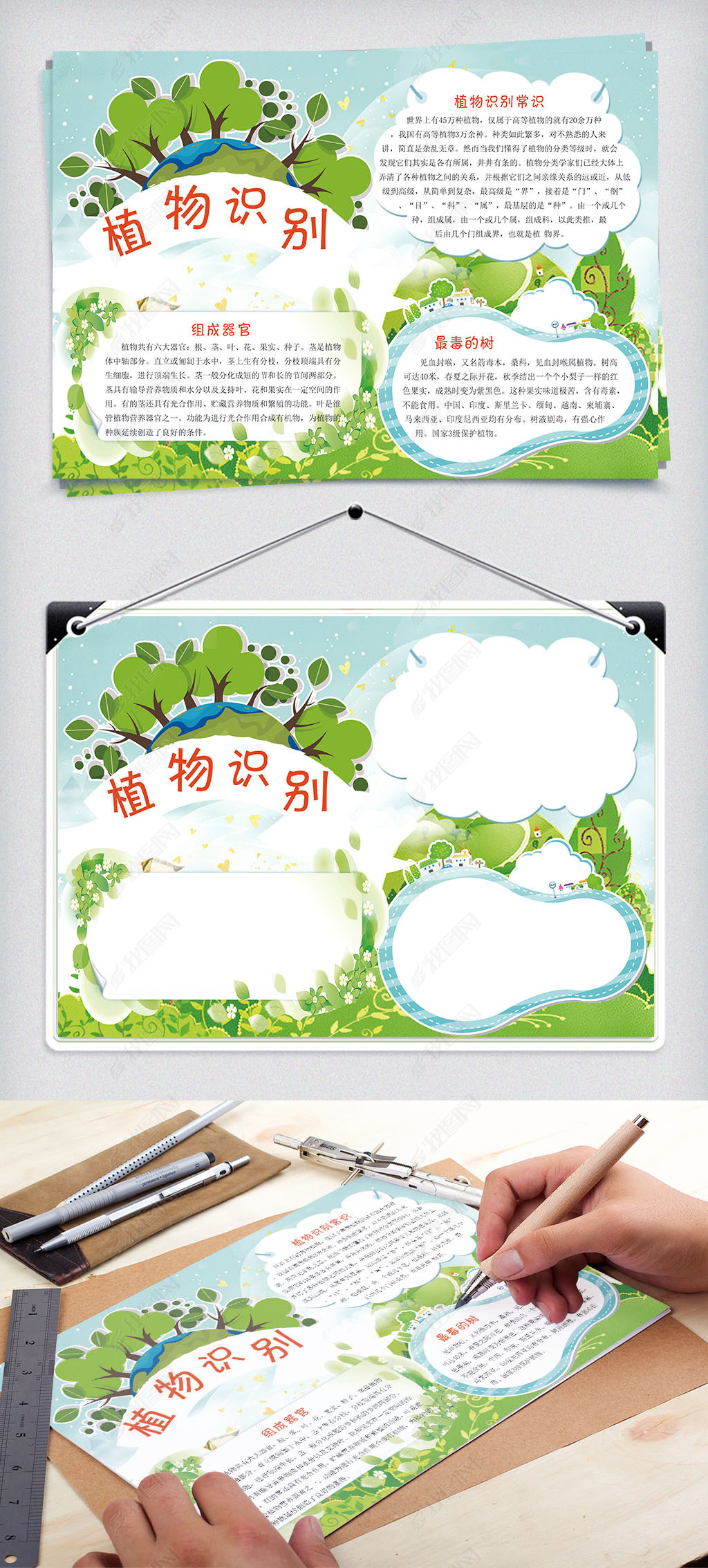 原创植物识别电子清新小报版权可商用