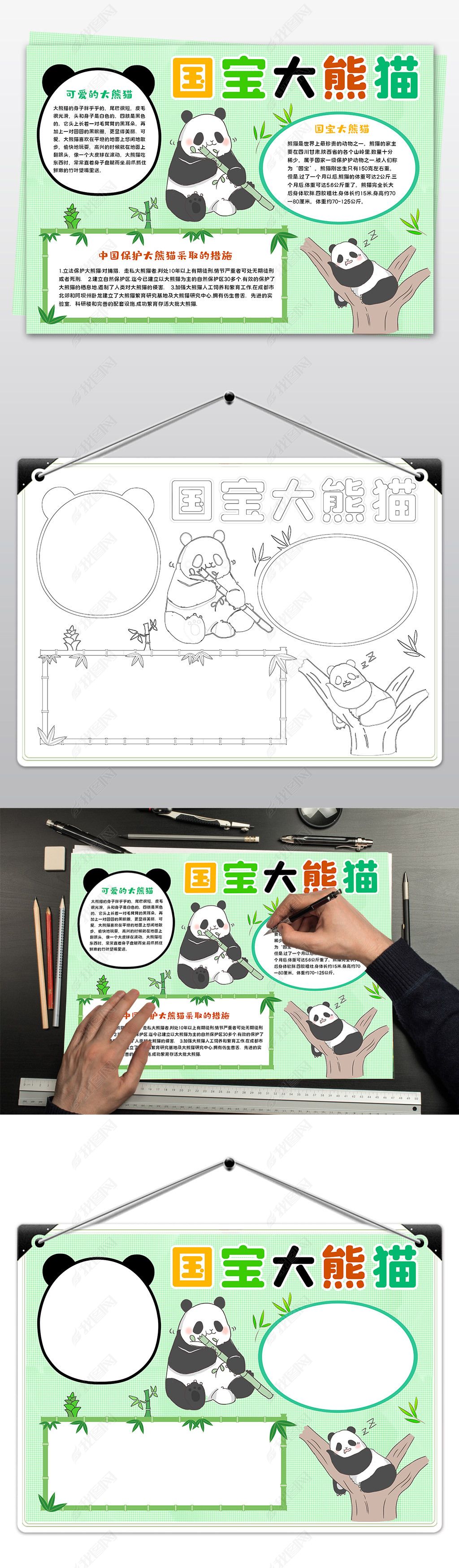 原创可爱的大熊猫小报保护动物国宝大熊猫小报-版权可商用