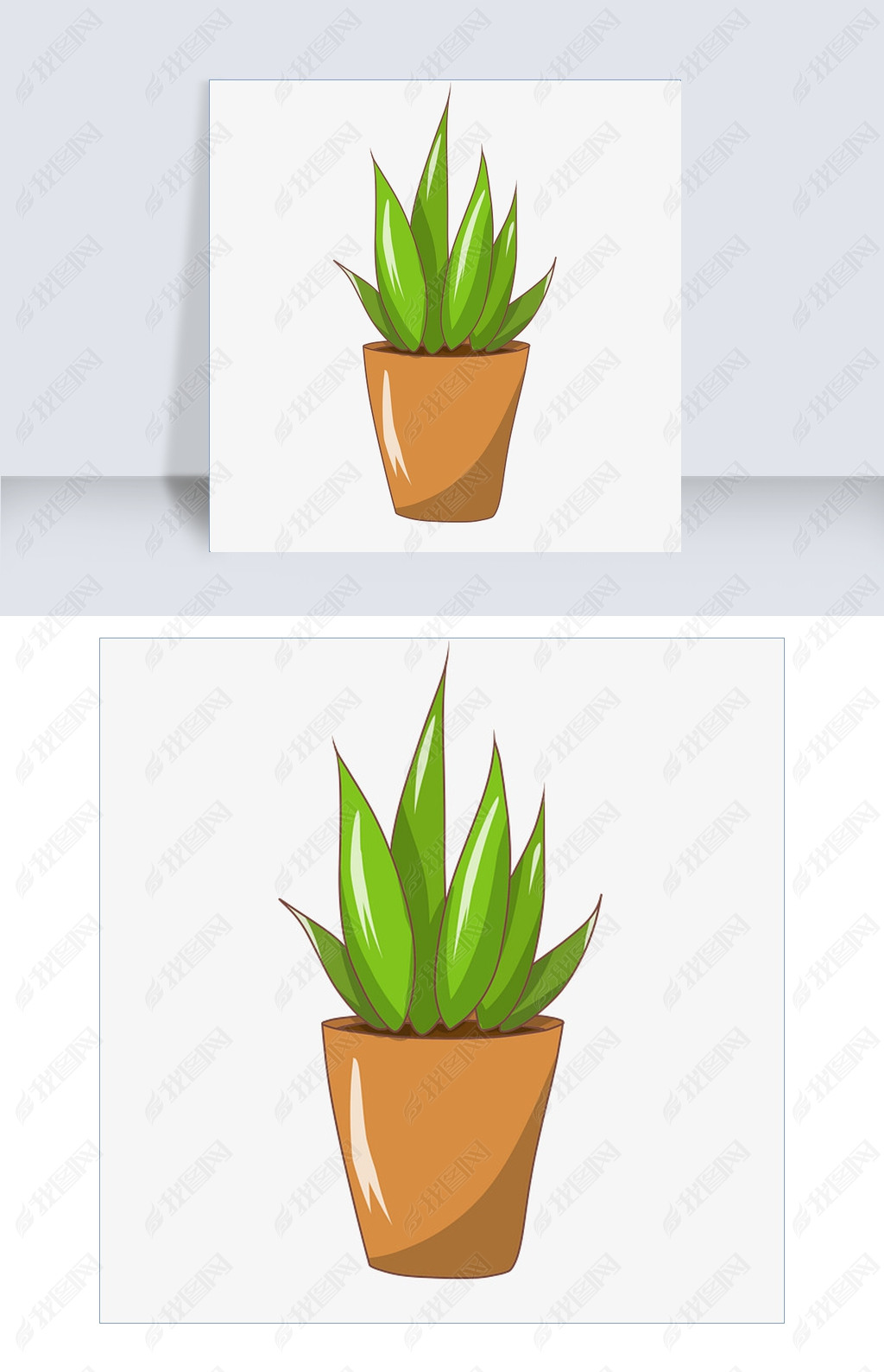 手绘芦荟盆栽插画