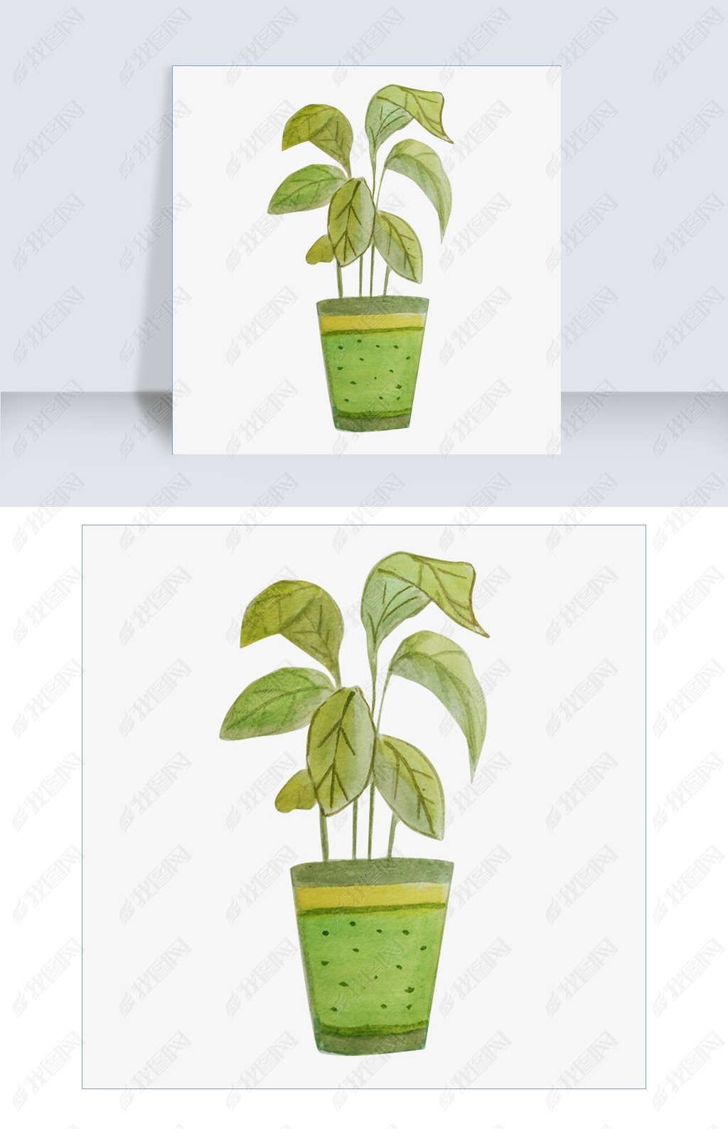 原创手绘绿萝盆栽插画版权可商用