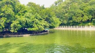 森林公园天鹅湖旅游风景区