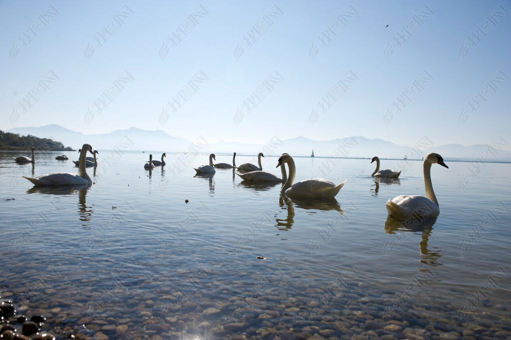 ¹Ľܱ߻ķ(Chiemsee)