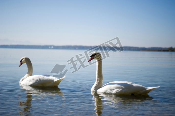 ¹Ľܱ߻ķ(Chiemsee)