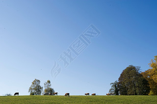 ¹Ľܱ߻ķ(Chiemsee)˵(Herreninsel)