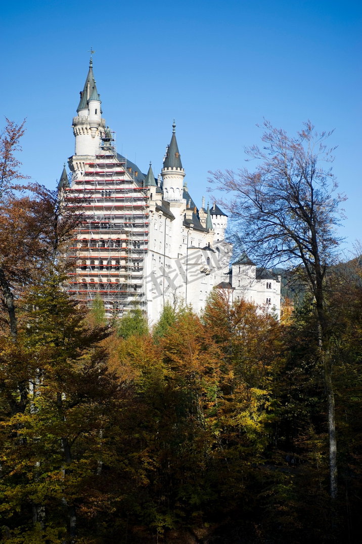 ¹ϲɭ(Fussen)챤(Schloss Hohenschwangau)