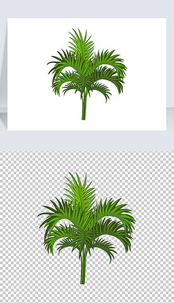 卡通手绘绿植苏铁植物棕榈树叶子素材矢量图