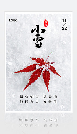小清新中国传统二十四节气小雪节日海报
