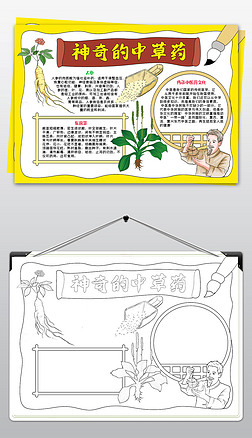认识中草药小报中药小知识手抄报