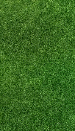 超清高清足球场地绿色草坪自然纹理背景